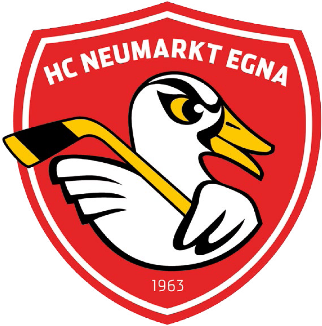 HC Neumarkt-Egna 2016-Pres Primary Logo iron on transfers for clothing